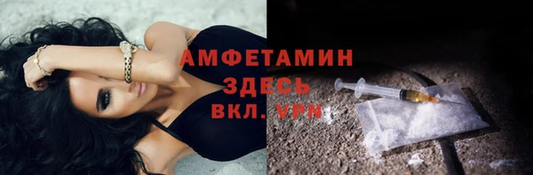 шишки Кодинск
