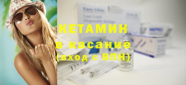 шишки Кодинск