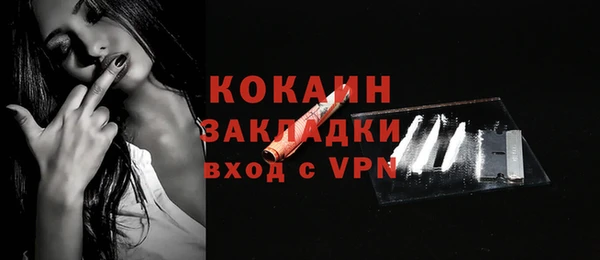 шишки Кодинск