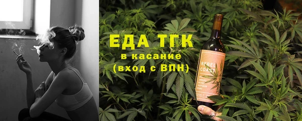 стафф Корсаков