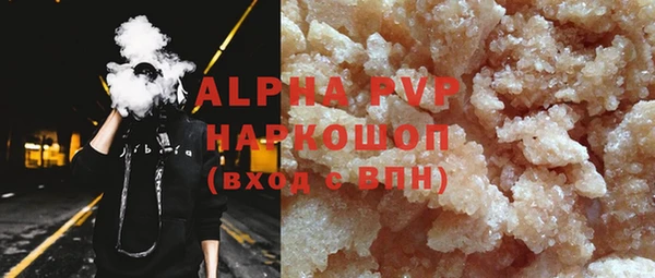 шишки Кодинск