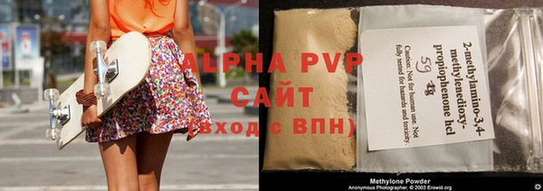 шишки Кодинск