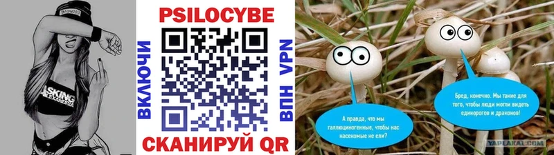 Псилоцибиновые грибы Cubensis  Купить закладки  Гусь-Хрустальный 